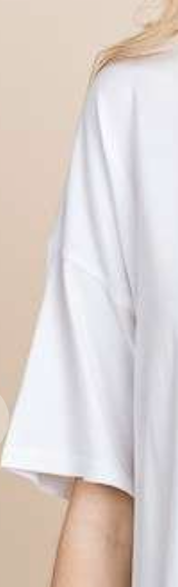 PS Classic V Neck WHITE