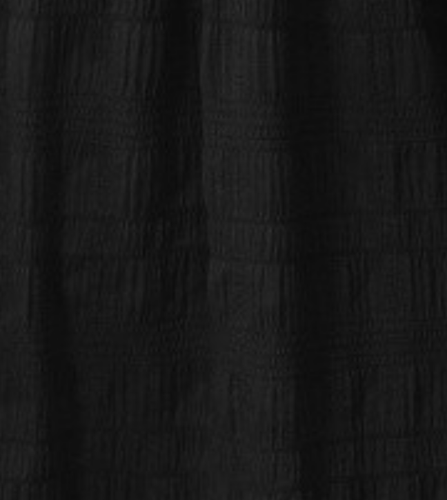Ruffle Sleeve A~line Dress BLACK