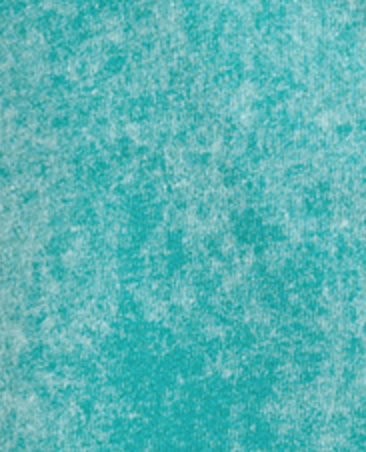 Raw Edge Sleeveless Henley TEALb
