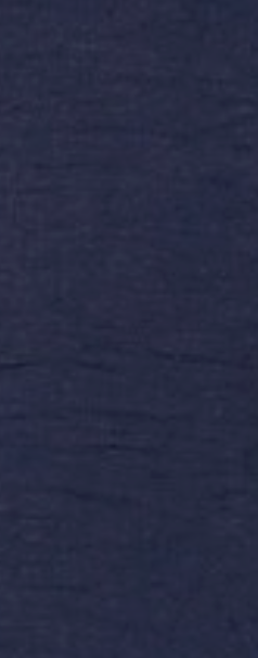 Wendy Ruffled Sleeve NAVY