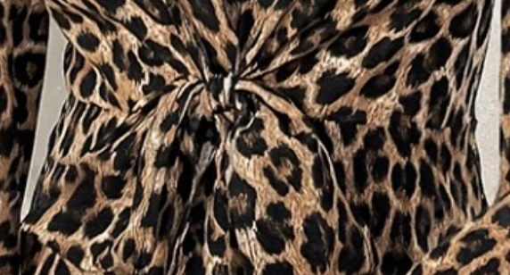 Chic V~Neck Leopard Blouse