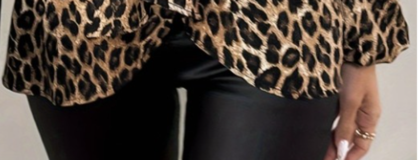 Chic V~Neck Leopard Blouse