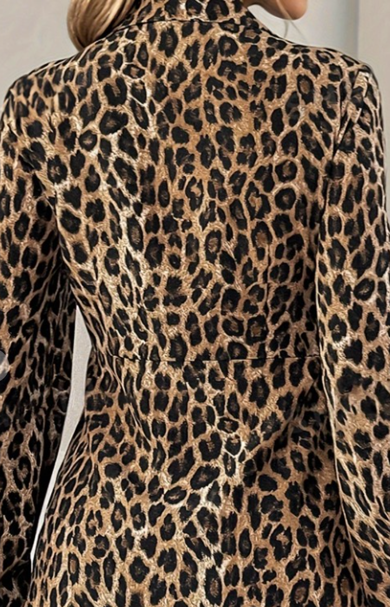 Chic V~Neck Leopard Blouse