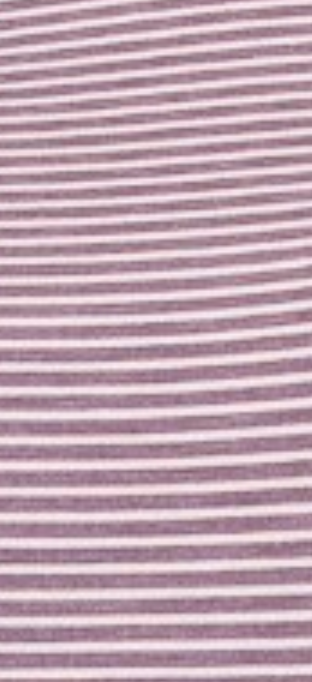 Raglan Sleeve Striped Terry PLUM