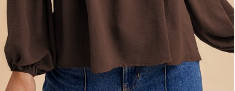 Pintuck Detail V~Neck Blouse BROWN