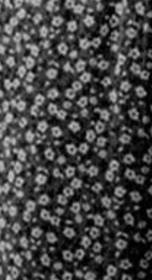 Smocked Bodice Floral Jumpsuit B&W