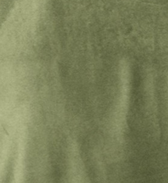 Oversized Velour Sweatshirt OLIVE