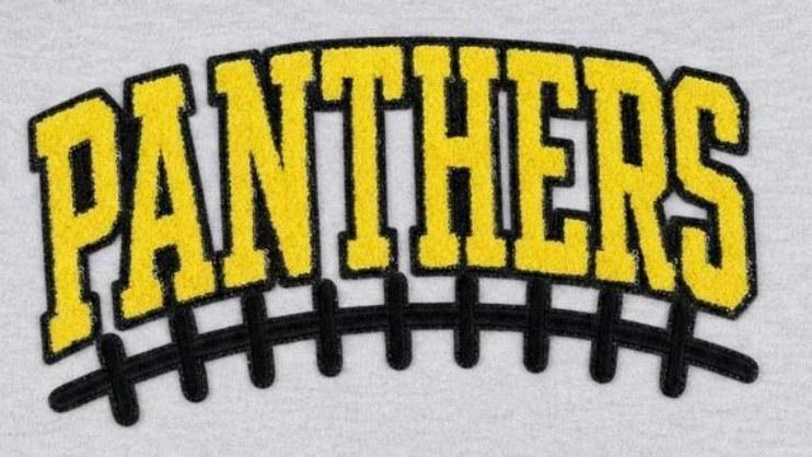 Chenille Embroidery PANTHERS