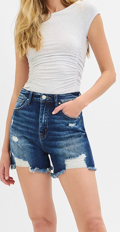 RISEN HR Distressed Shorts 5"