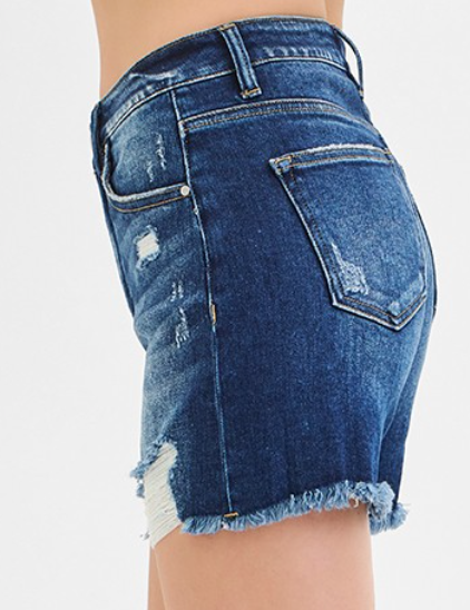 RISEN HR Distressed Shorts 5"