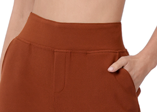Classy Pull On Dress Pants RUST