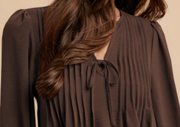 Pintuck Detail V~Neck Blouse BROWN