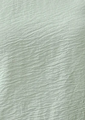 Ruffled Cap Sleeve Blouse LODEN