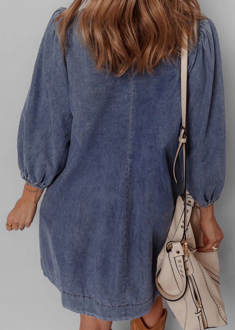 Threadline Denim Dress