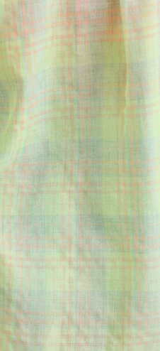 Sweet Prairie Plaid Button Down LIME