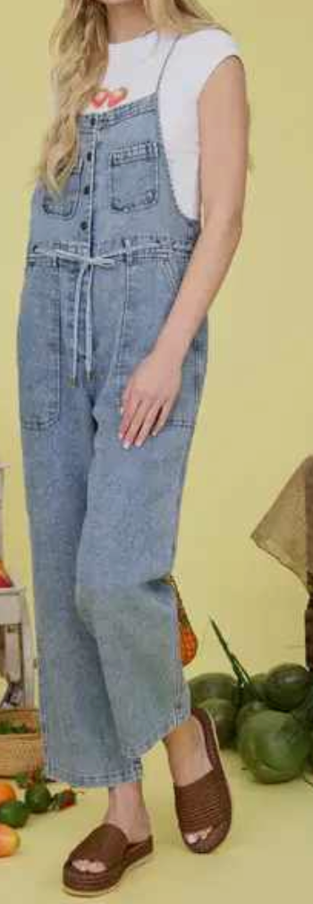 Wanderer Denim Jumper