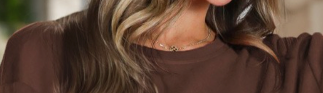 Simply Chic Tie Blouse BROWN
