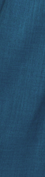 Double Take Dress Pants 30" PEACOCK