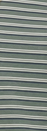 Everyday Micro Brush Stripe Henley SAGE