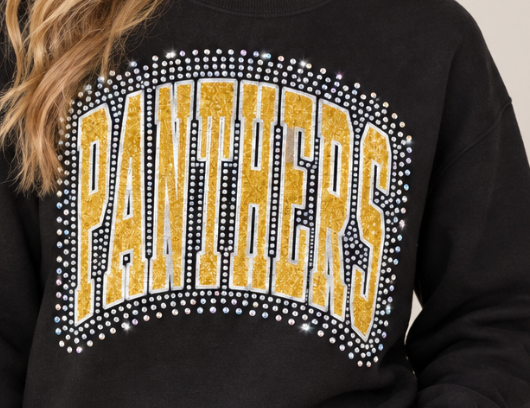 Panthers Bring the Bling Sweatshirt